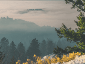 mountainside