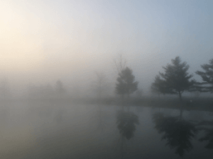 foggy lake
