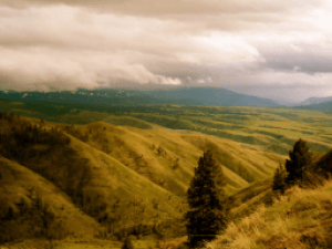 rolling hills